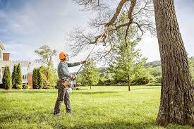 Trusted Sand Springs, OK Tree Care Services Experts